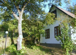 Freistehendes Ferienhaus in Döbrököz mit Garten, Terrasse und Grill